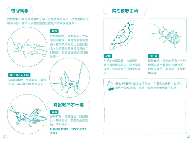探索大自然：昆蟲捕捉觀察罐（內含1個捕捉觀察罐+1本昆蟲觀察遊戲書）